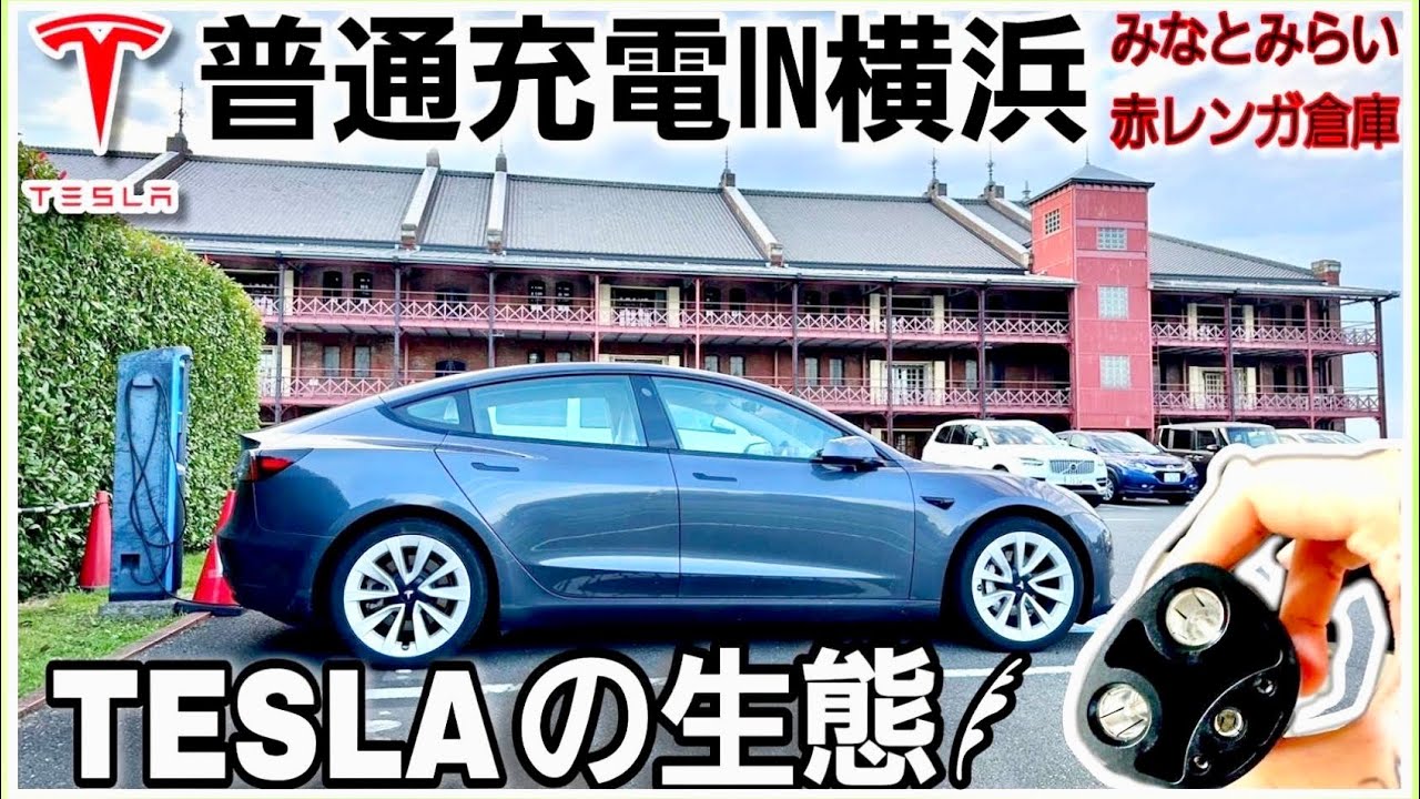 テスラを普通充電する方法 Amazonの変換アダプターは使えるのか？|Teslaの生態