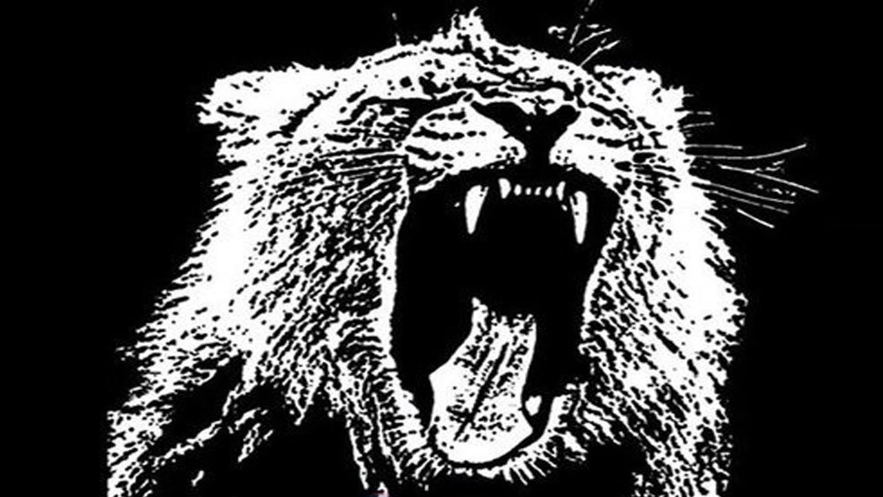 Mashup-Germany - Animals Anthem (Watch out for this) (Manuel Weber Video Edit)
