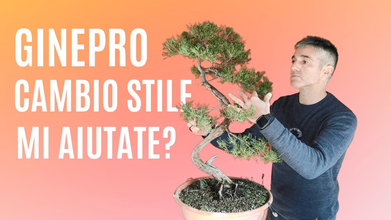 COME cambiare STILE al BONSAI, prove e valutazioni