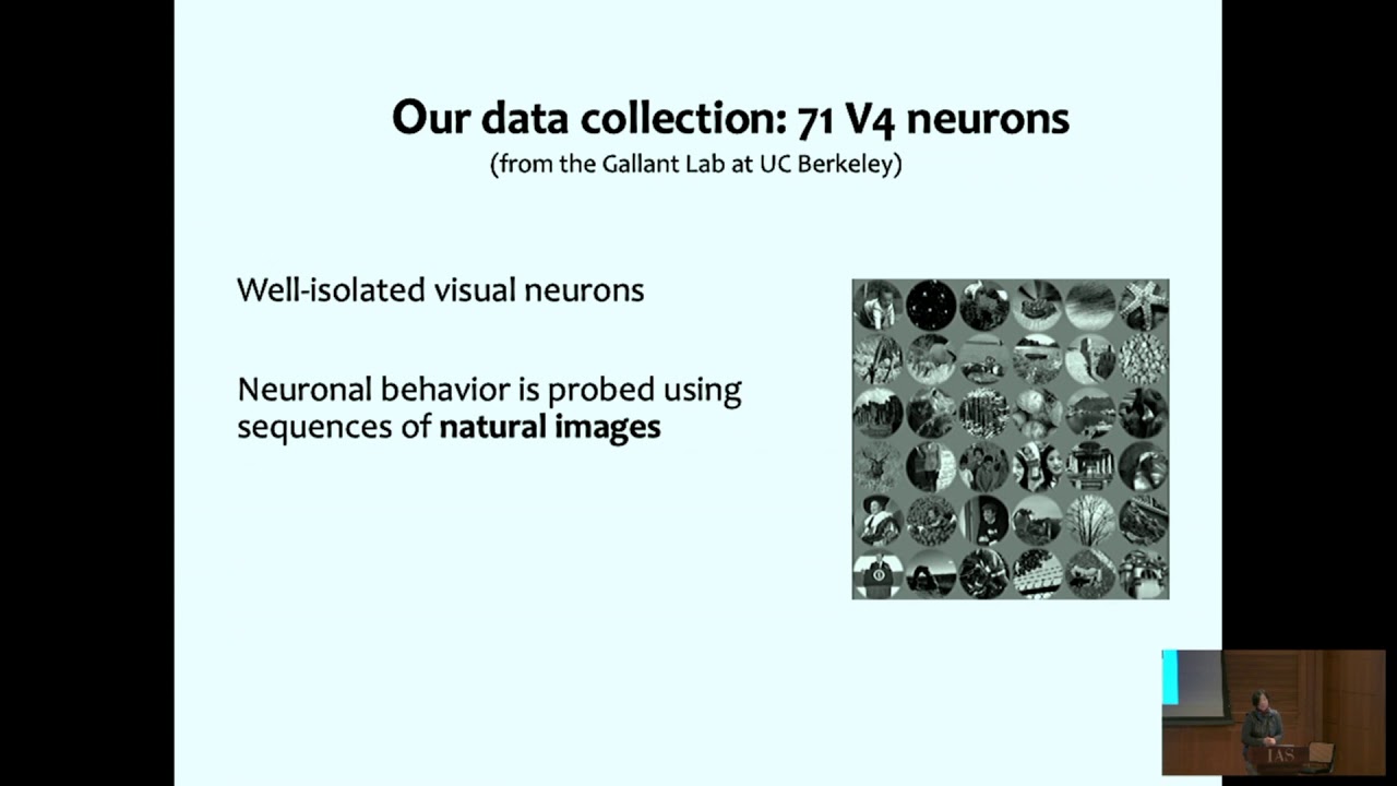 Interpreting Deep Neural Networks - Bin Yu