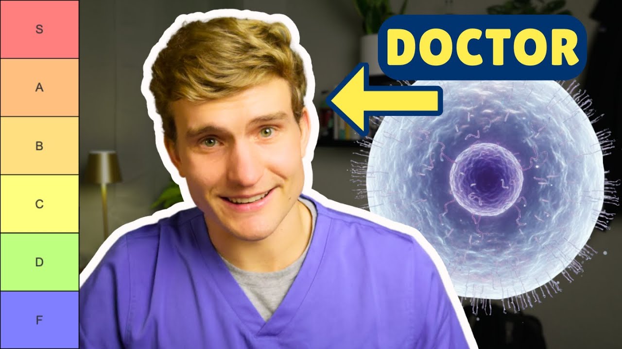 The Immune Cell Tier List - ranking your secret army