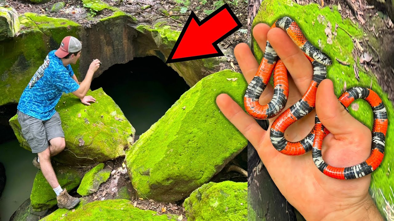 Catching Snakes in the Jungles of Costa Rica! - Full Film