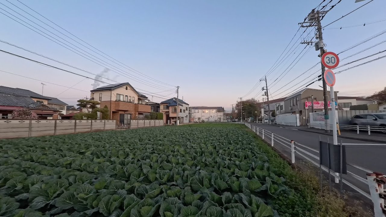 Tokyo Bubaigawara Walking Tour | Japan 4K