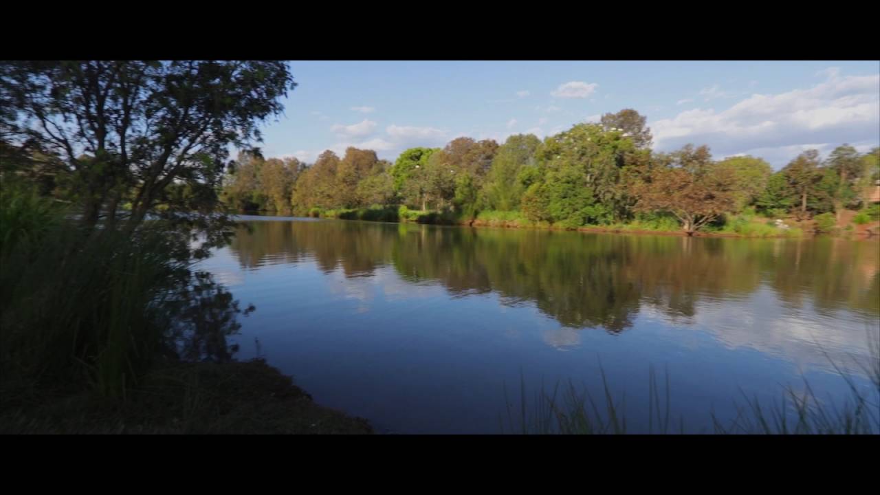 Waterbird Habitat Toowoomba