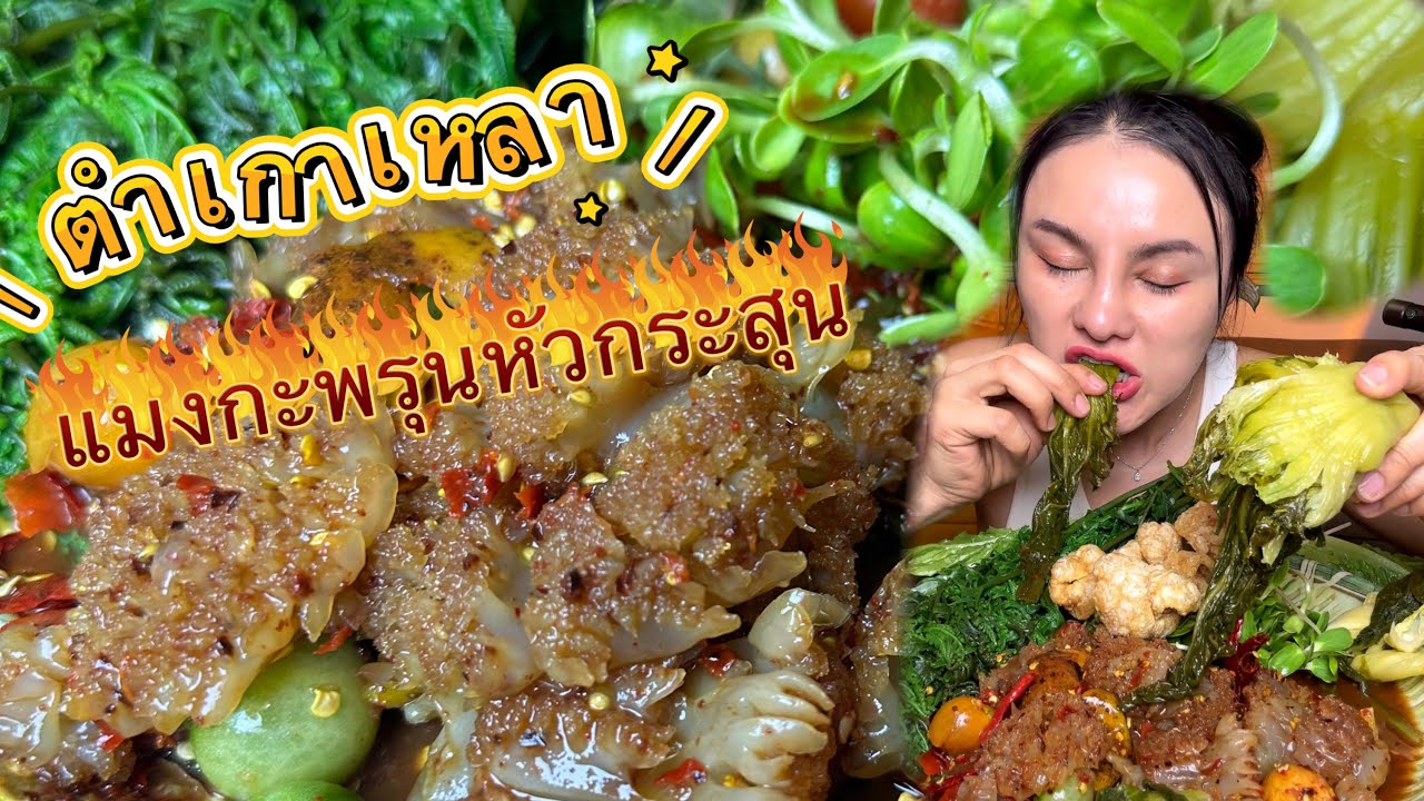 ตำเกาเหลาแมงกะพรุนหัวกระสุน ￼|ตั้มมี่Channel