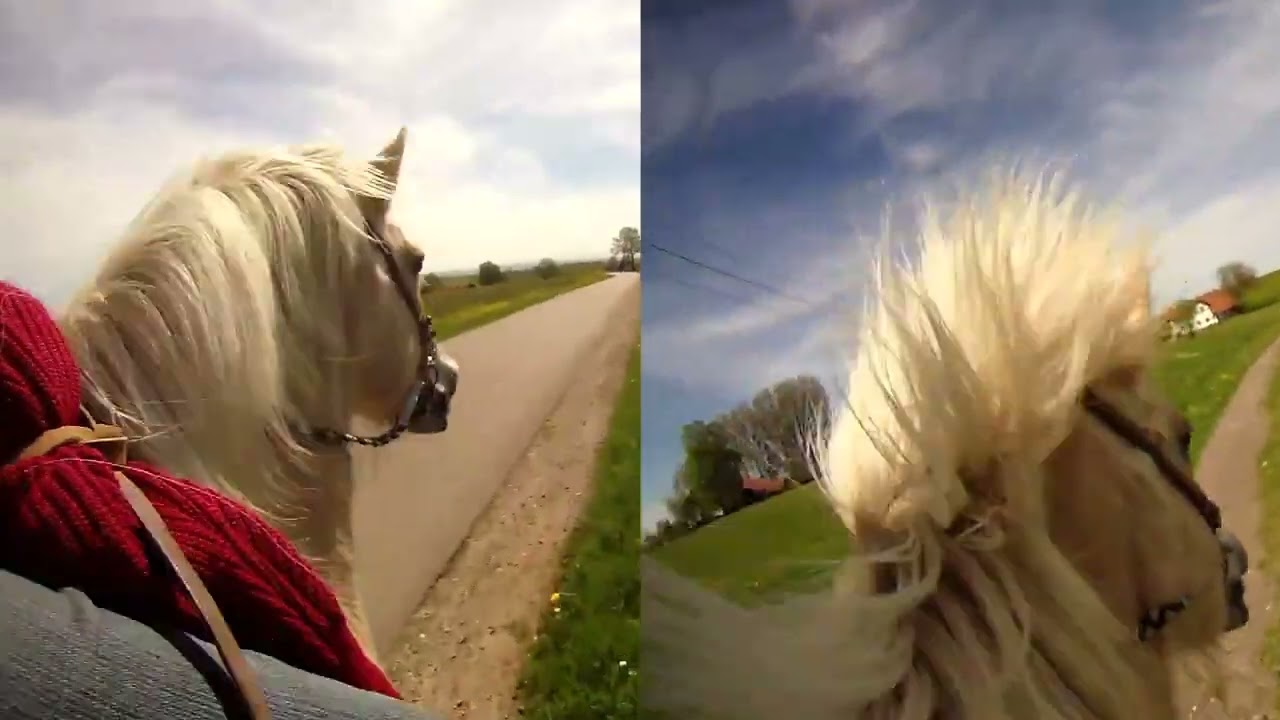 Mai 2015 einmal rund um Diesenbach