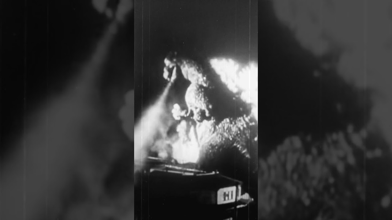 Gojira 1954