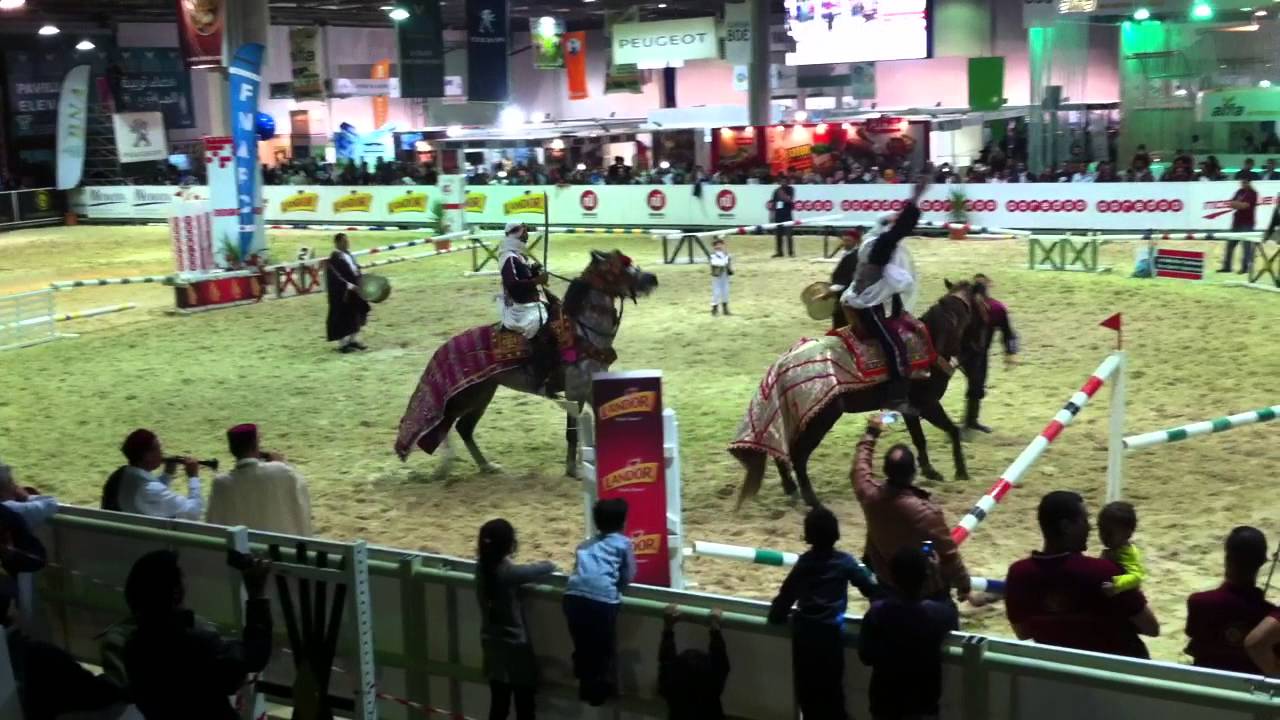 سير يا لزرق سير المداوري