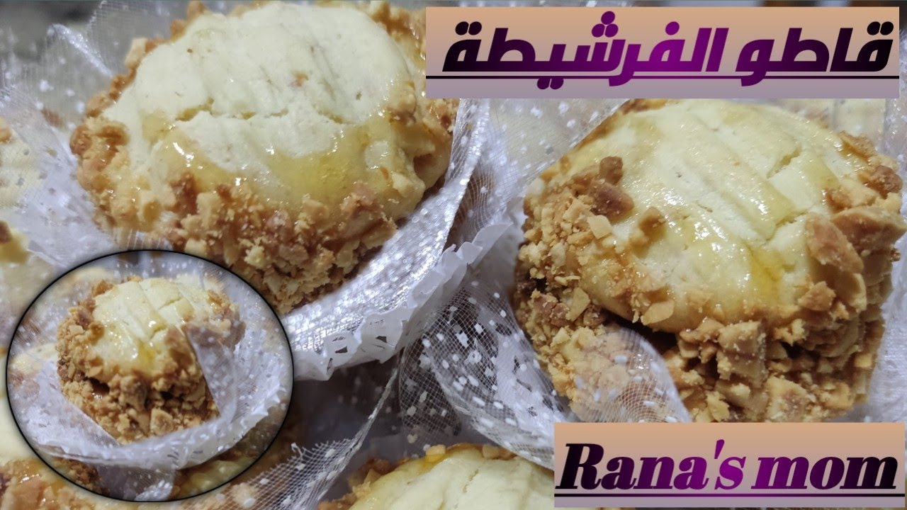 قاطو سهل ، بسيط و اقتصادي 