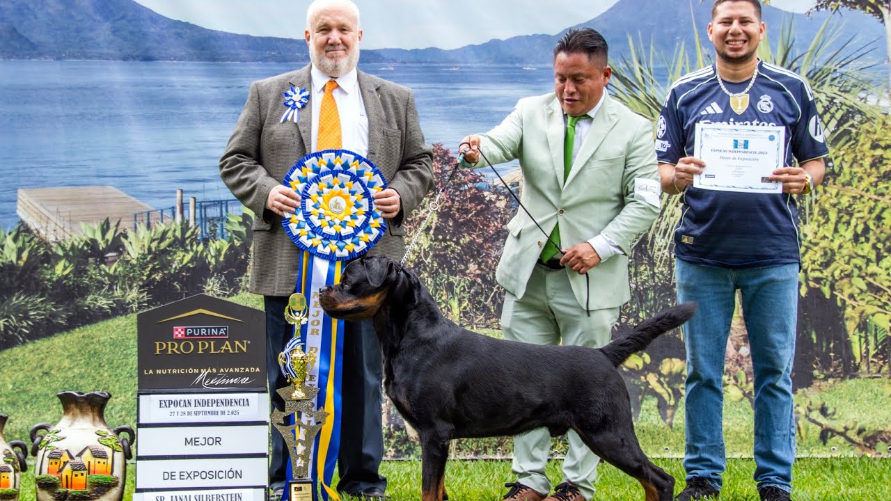 Expocan Independencia 2025 Guatemala - Casper Dark Force - BEST IN SHOW 