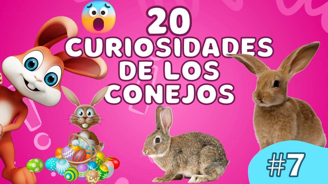 Curiosidades de los Conejos🐇 | Videos Educativos para Niños 🐰