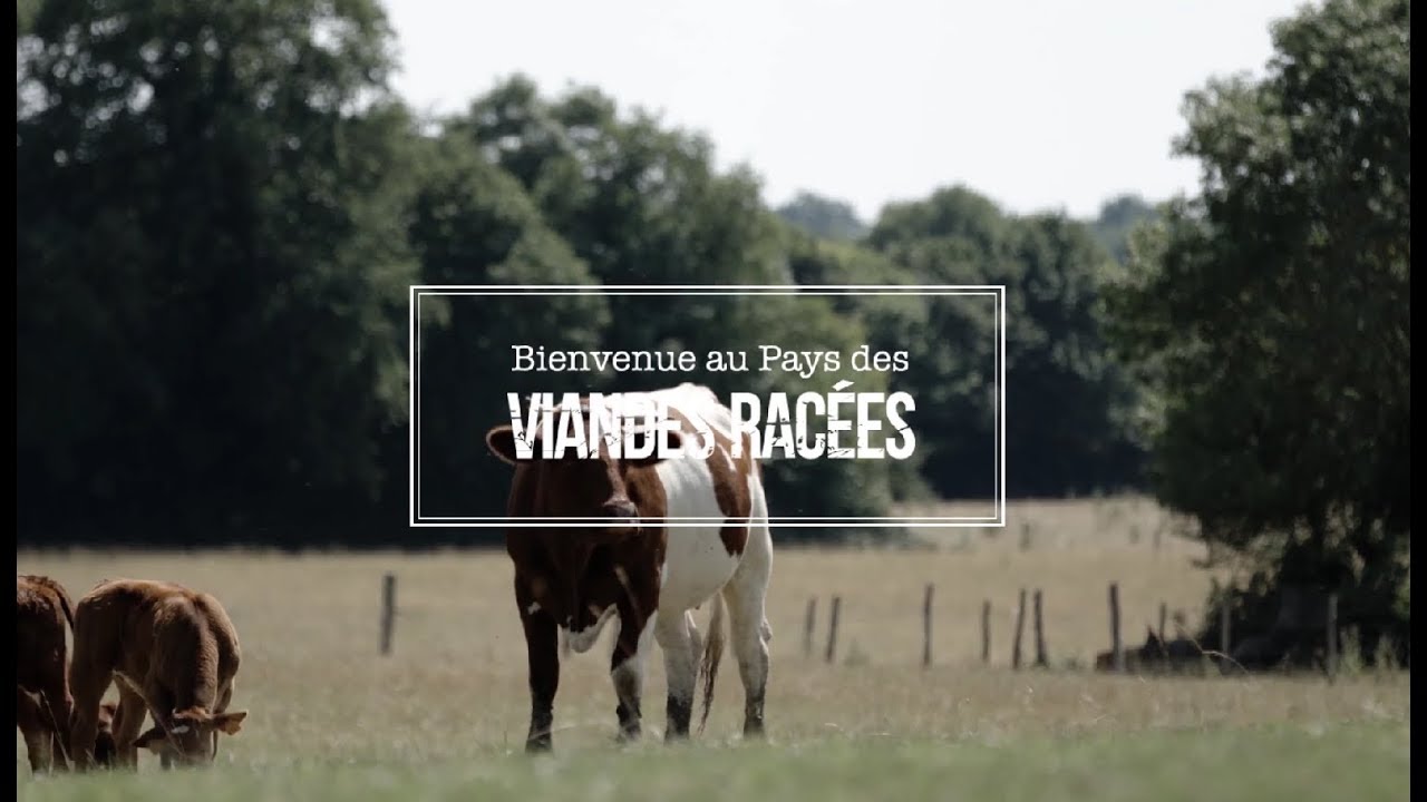 Les rouges des prés de Sylvain