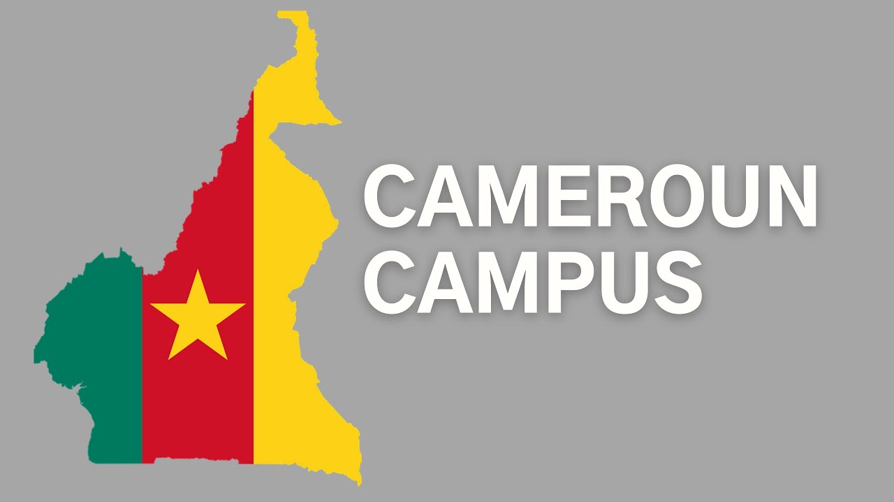 Le rapport de 2020 (JDM Cameroun)