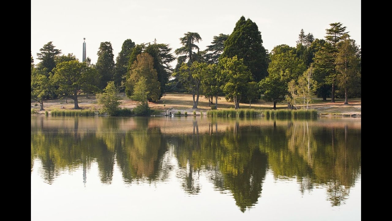 Discover delightful Sunningdale.
