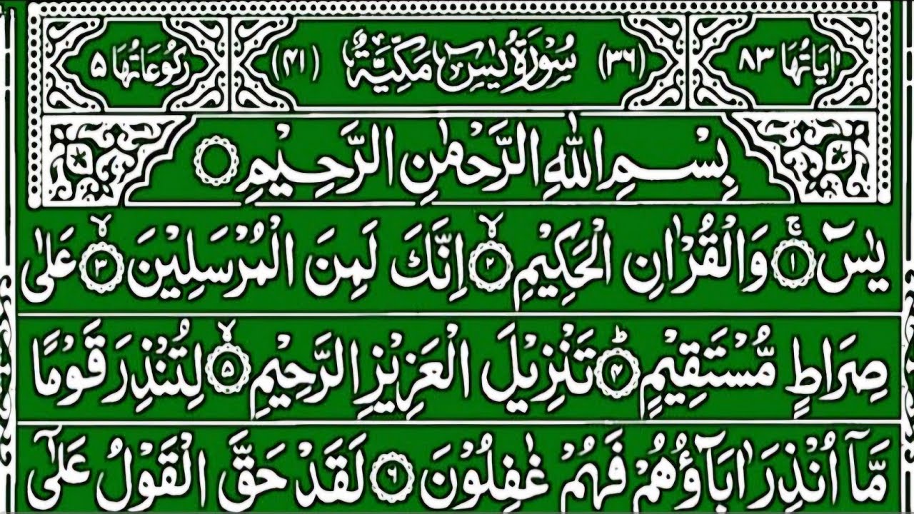 Surah Yaseen Surah Ar Rahman || Best Quran Recitation || Surah Yasin Full || Yaseen Tilawat Wazifa