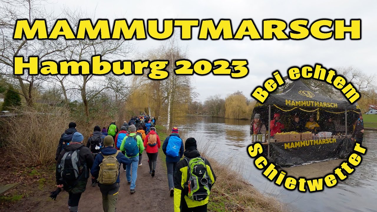 Mammutmarsch Hamburg 2023 - 42 Kilometer Extremwandern / Little Mammut 🦣🥾