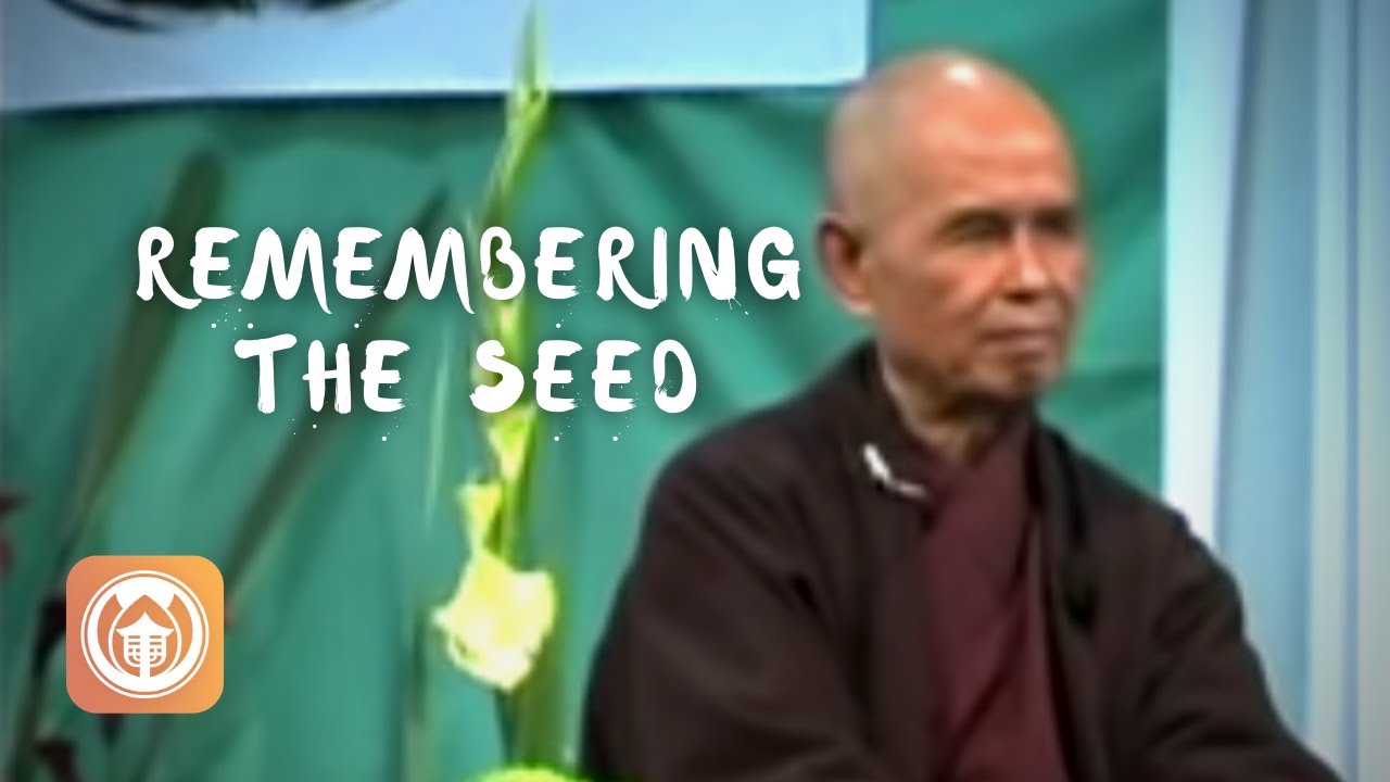 Remembering the Seed | Thich Nhat Hanh (short teaching video)