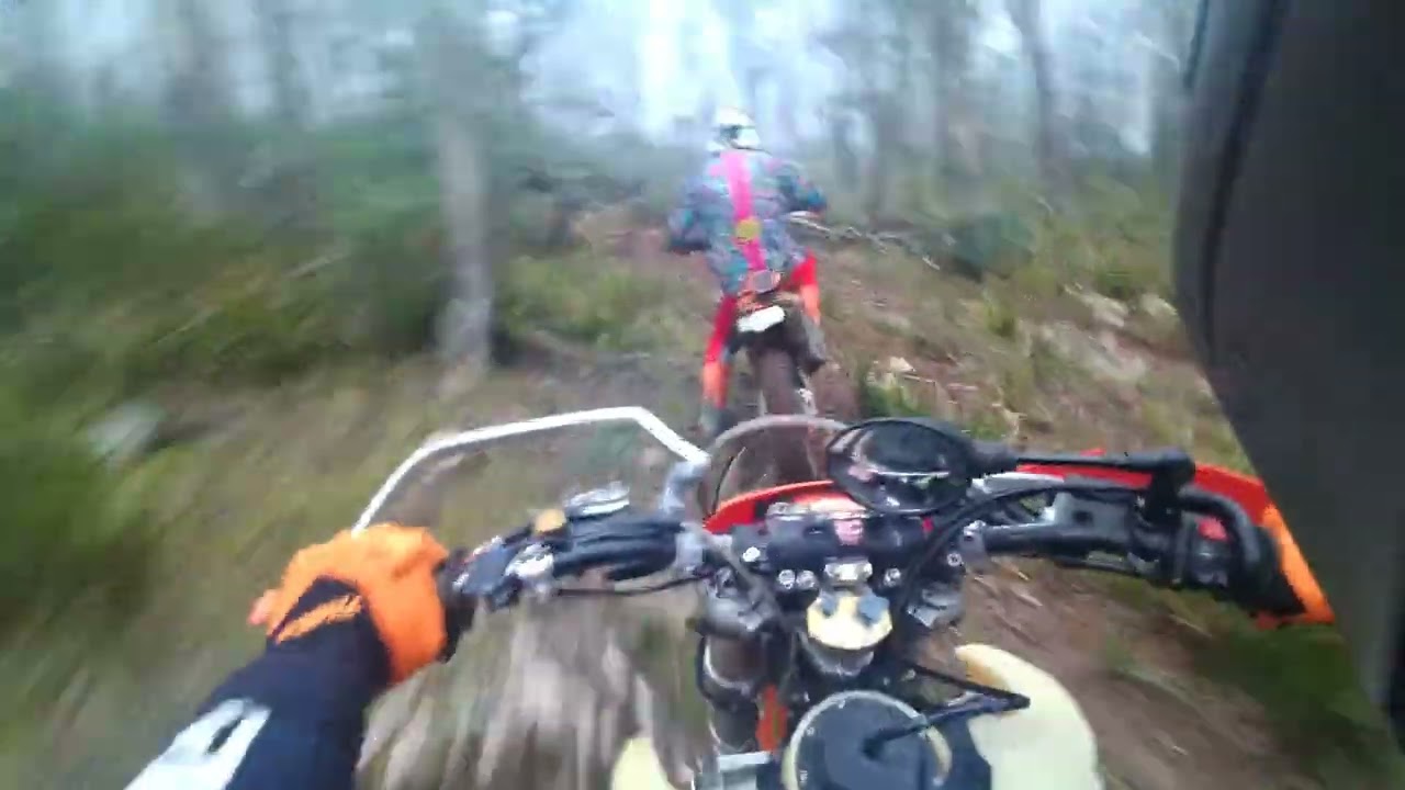 Enduro ride 7 Mar 26 Pt2 - Tallaganda State Forest