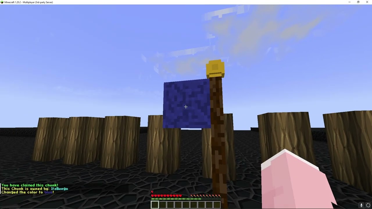Claim Flag