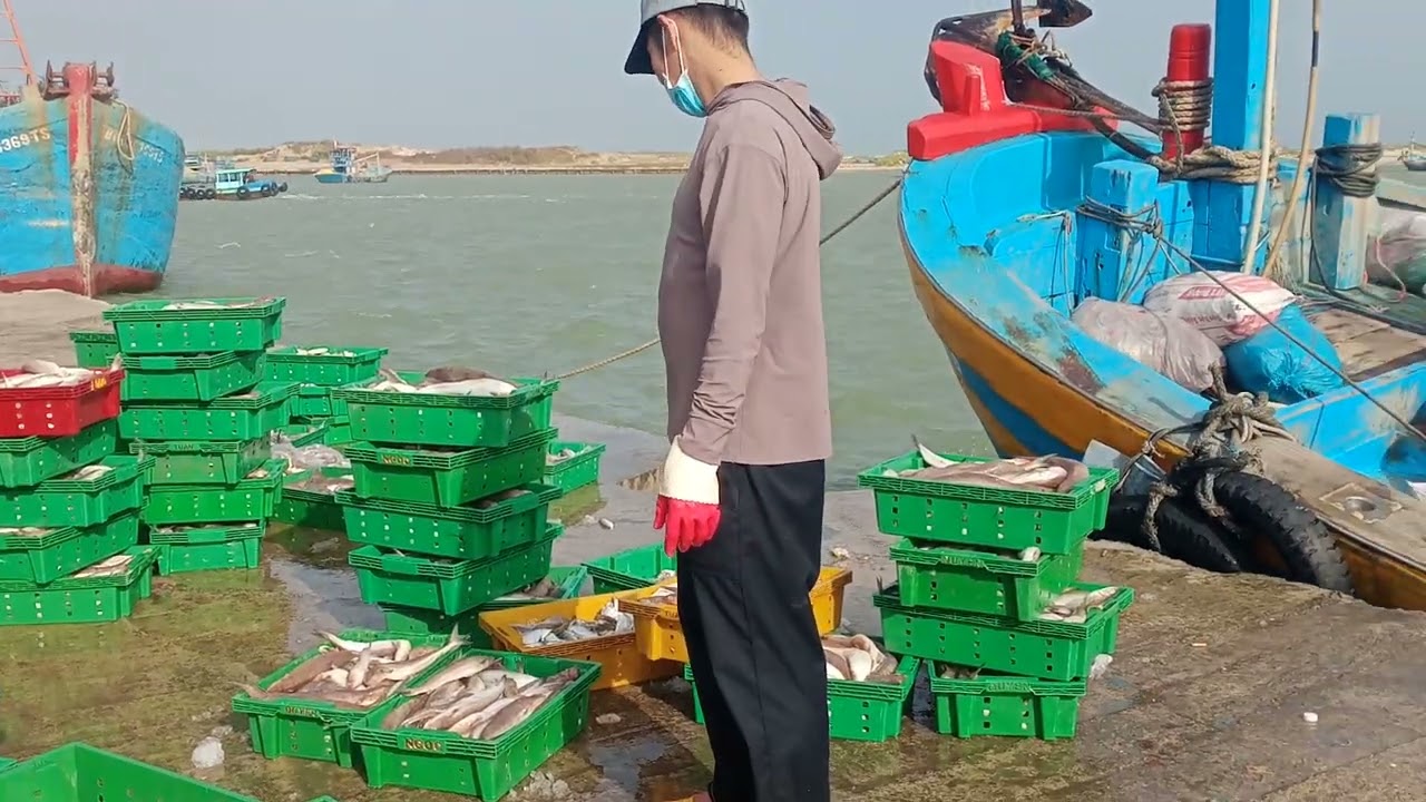 gió mùa đông bắc ghe lưới ghẹ trúng hàng tấn ký cá, các loại