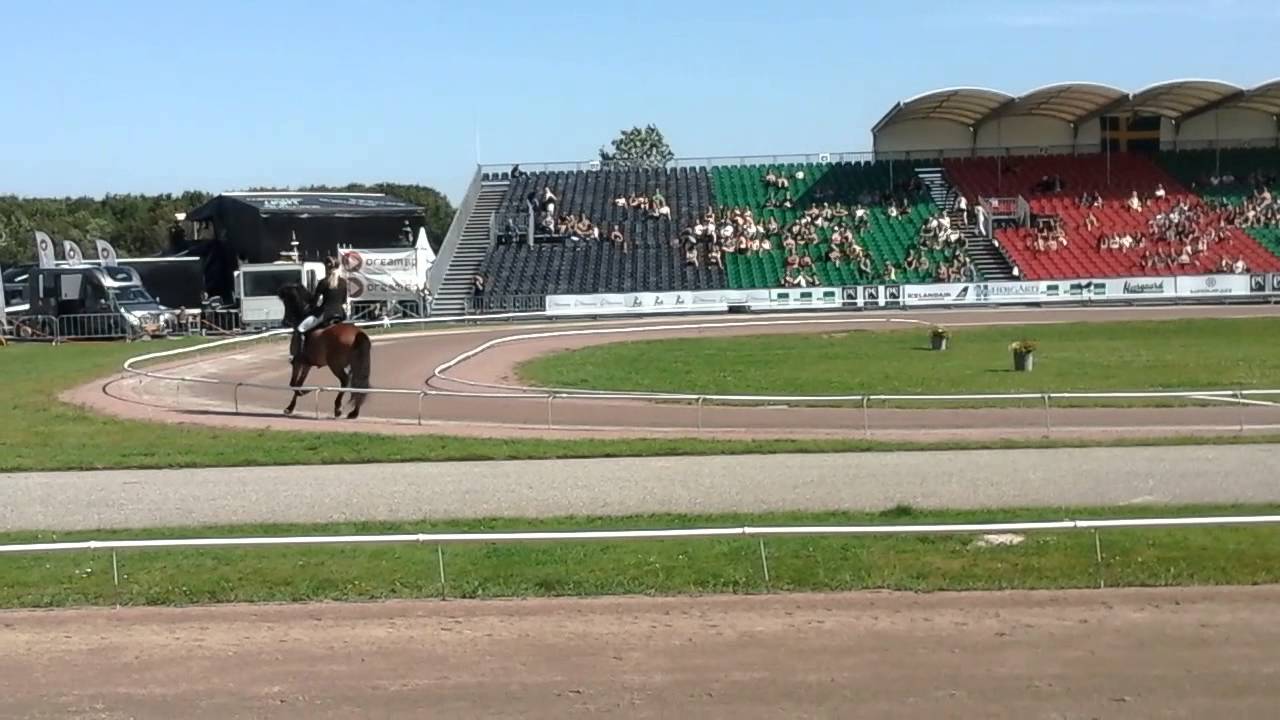 T2 - Johanna Tryggvason - Fönix frá Sydra-Holti