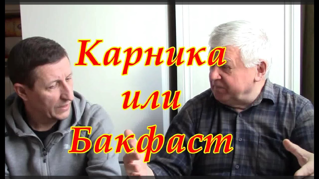Карника или Бакфаст