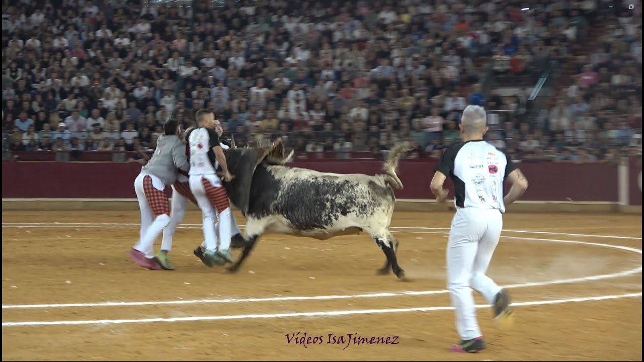 Concurso de roscaderos Zaragoza 10/10/2025 - PINA DE EBRO - HD