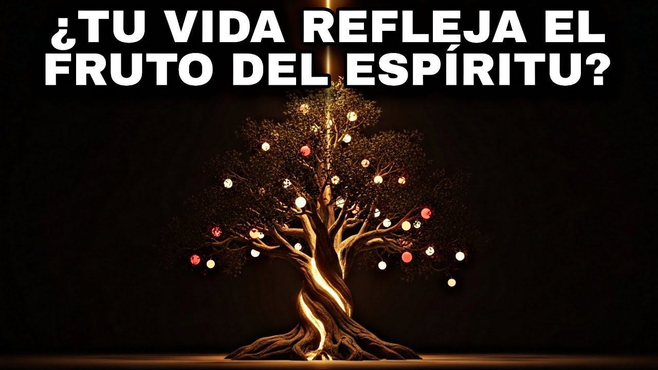 Cómo vivir una vida verdaderamente transformada