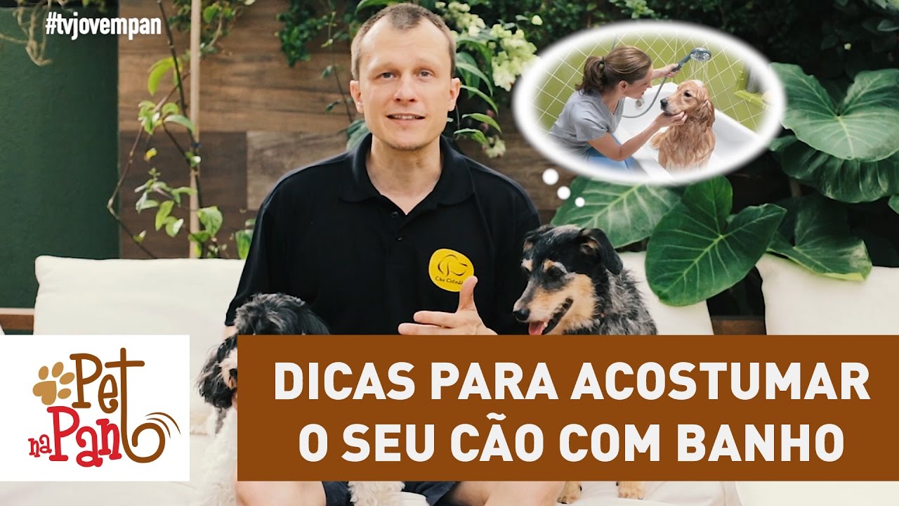 Pet Na Pan #28 -  dicas para acostumar o seu cão com banho