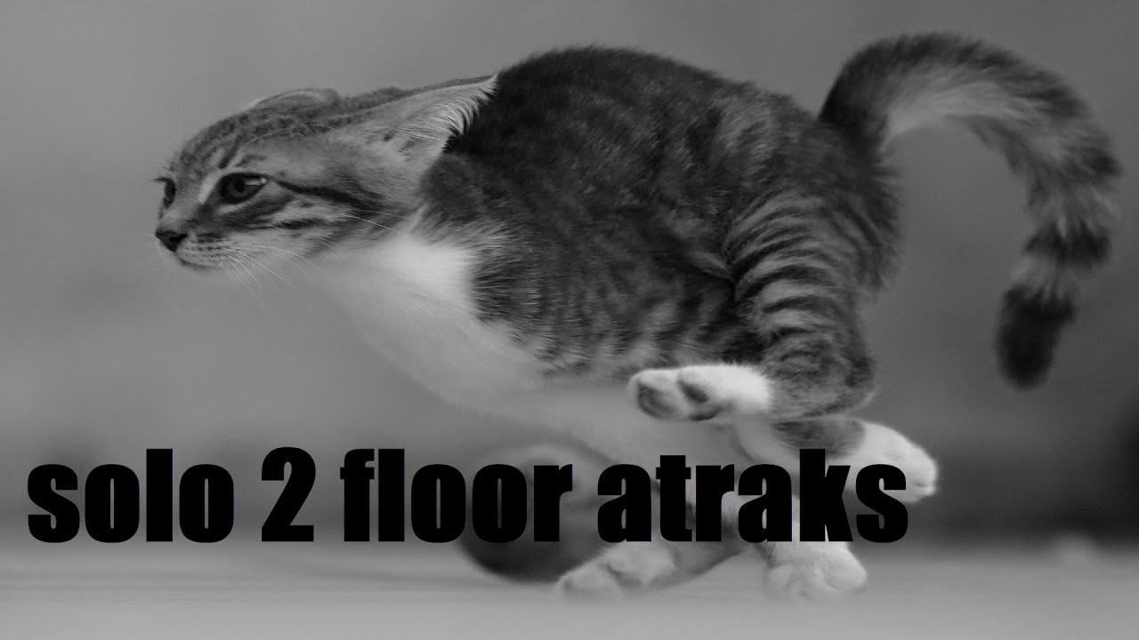 solo 2 floor atraks - ash and iron