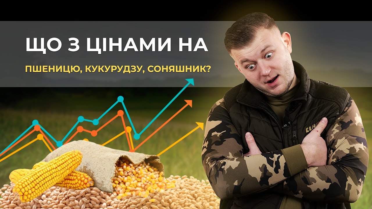 ЩО З ЦІНАМИ НА СОНЯШНИК, КУКУРУДЗУ, ПШЕНИЦЮ?