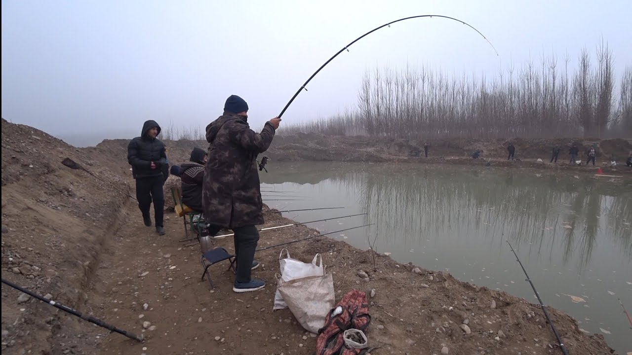 Baliqci tumani Ganisher ko'li 