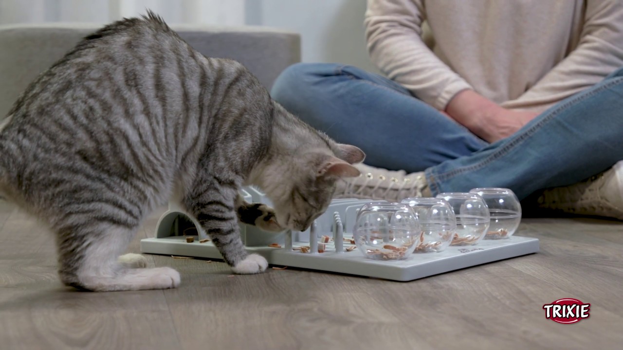TRIXIE Heimtierbedarf - Jeu de stratégie Cat Activity Fun Board