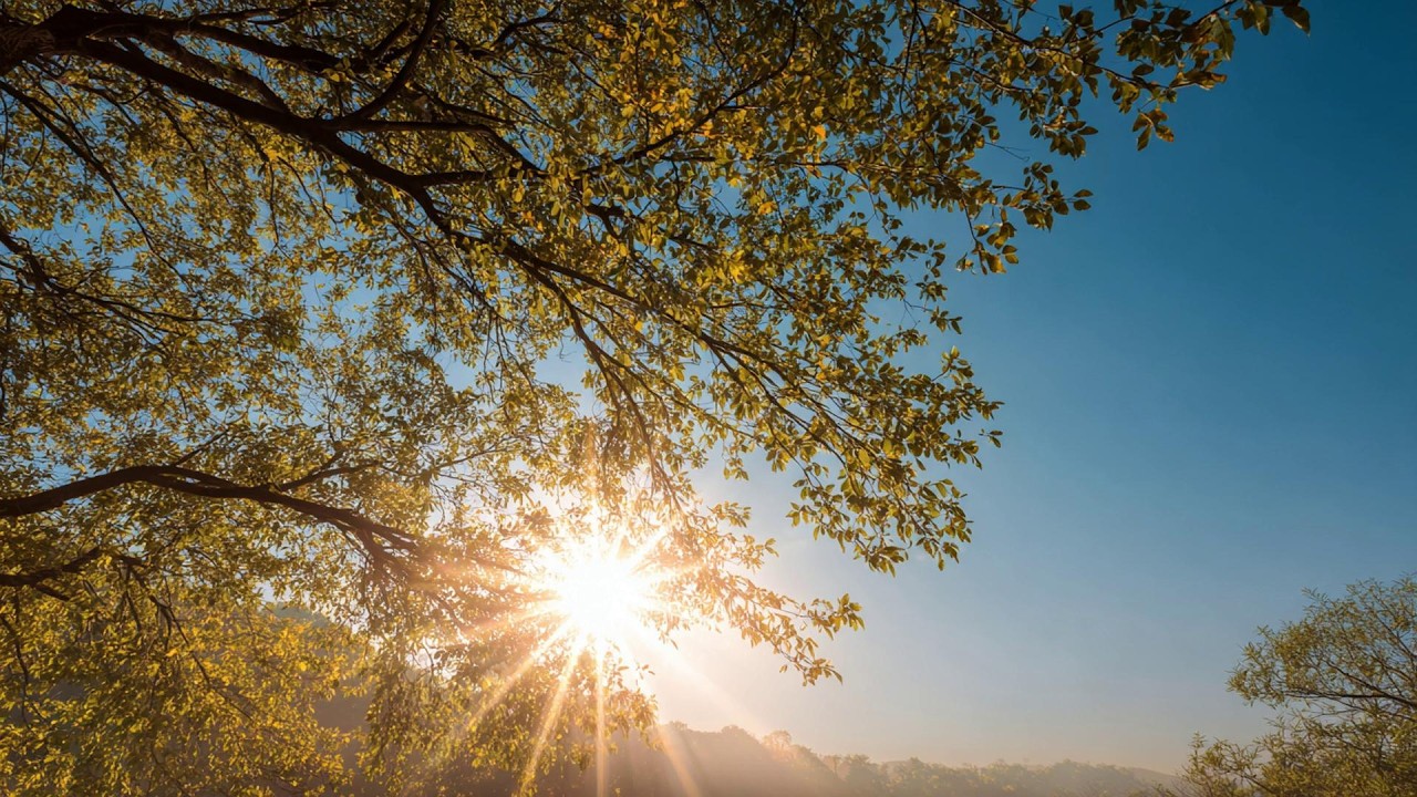 a calm playlist for reading, studying or writing 📖