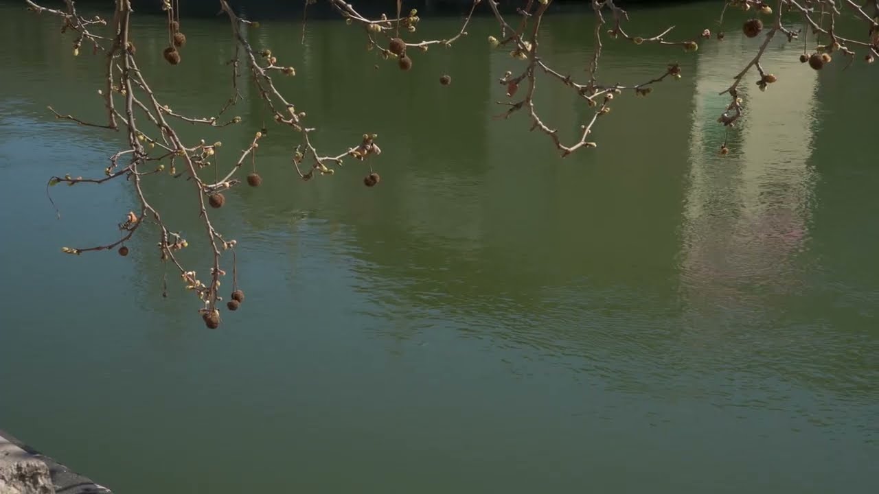 Vienna Donaukanal | Cinematic Urban Exploration (Nikon Z Series)