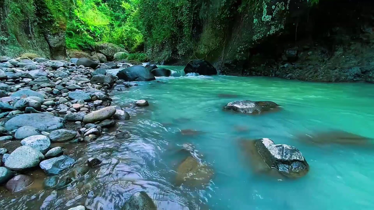 Mountain Stream Gentle Flow, Forest River Noise, Sleeping
