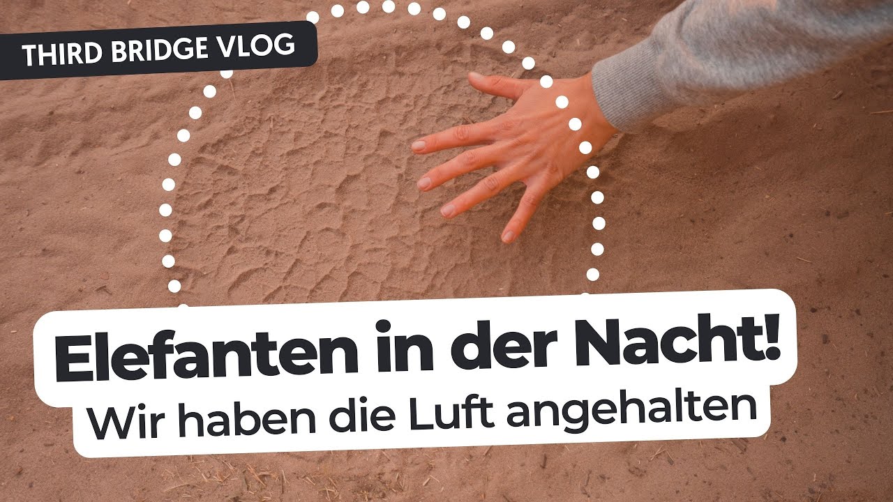 ELEFANTEN AUF DER CAMPSITE &middot; Third Bridge Campsite &middot; Namibia & Botswana Vlog E03