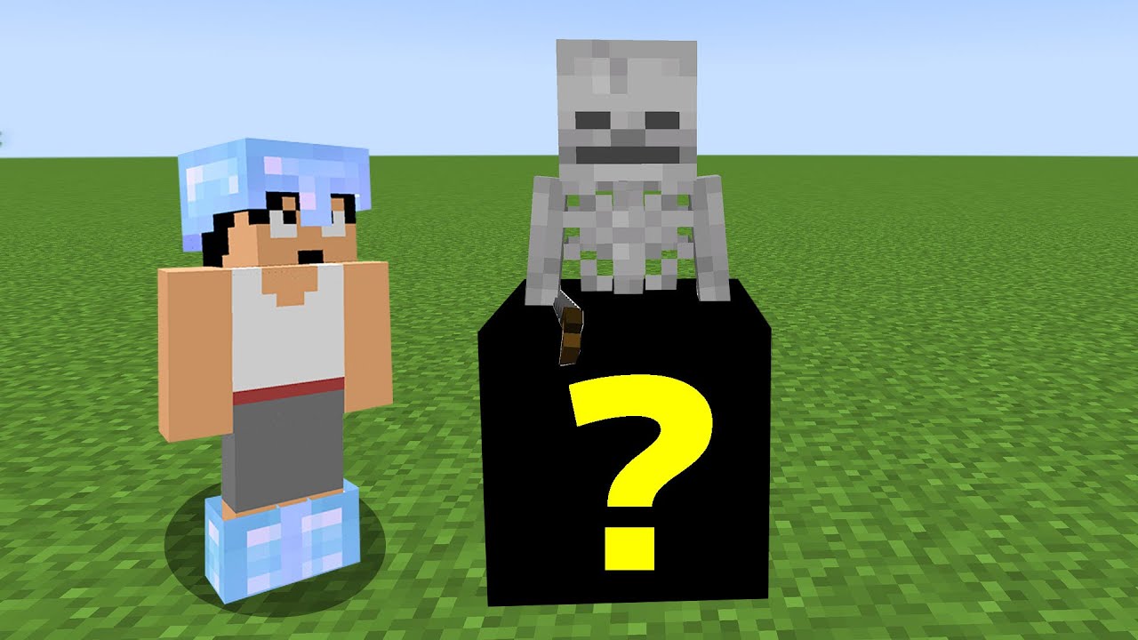 超激レアブロックでスケルトン埋めると超進化！？PART161【マイクラ】
