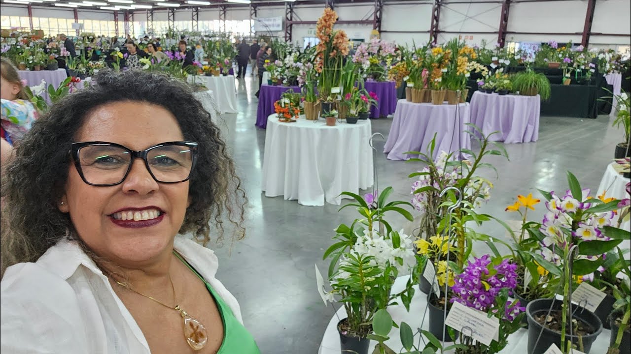 O PODIUM INTERNACIONAL DA EXPOSIÇÃO  DE CAXIAS  DO SUL 2025: PARTE 3