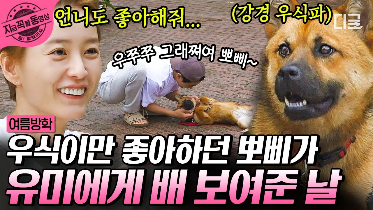 [#여름방학] 뽀삐야 제발 나에게 다가와 주겠니… 정유미 vs 최우식 🐶 과연 뽀삐의 선택은!? | #지금꼭볼동영상