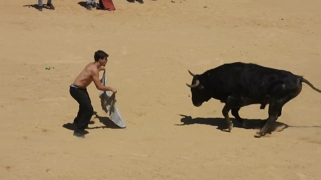 Largada de Domingo na Praça da Moita 2025 - 1º Touro
