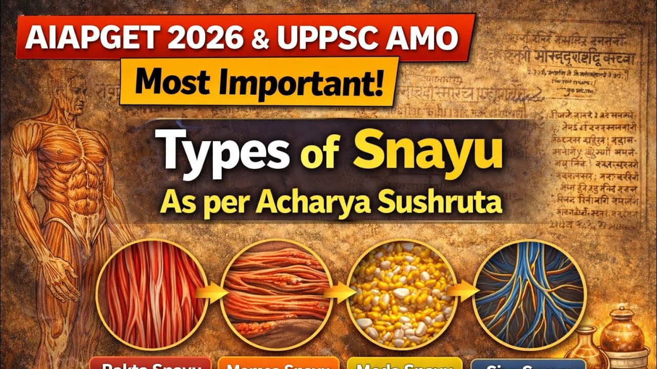 Types of Snayu as per Acharya Sushruta | AIAPGET 2026 Most Expected Question | UPPSC AMO 
