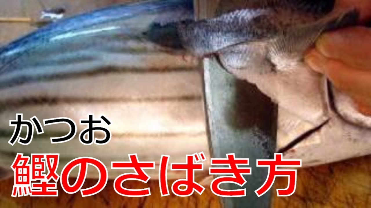 かつおのさばき方♯1（Skipjack tuna）三枚おろし編