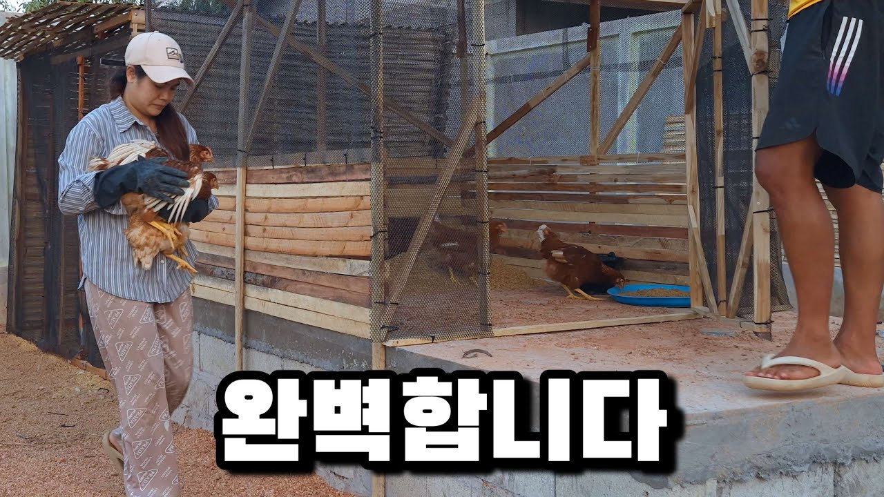 지긋지긋한 닭장 깔끔하게 끝냈습니다