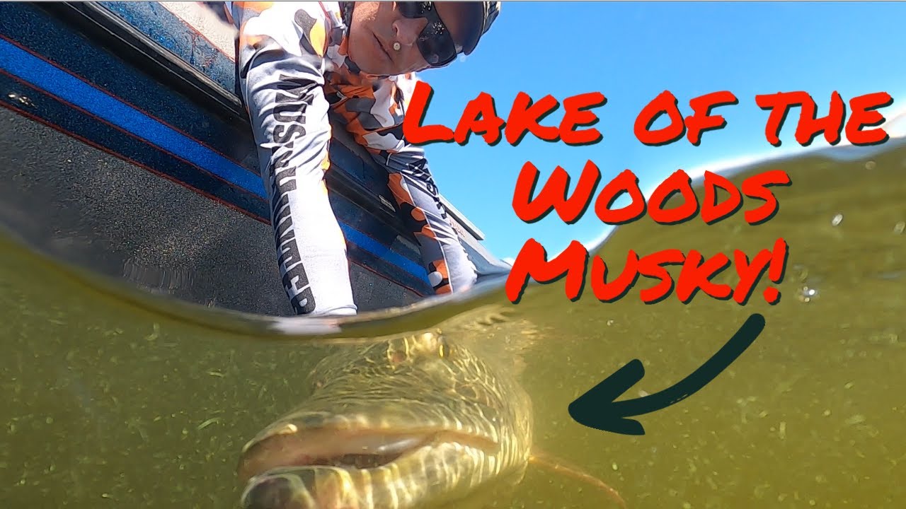 Musky Fishing LOTW with Gregg Thomas of Musky Hunter Magazine! pro tip; handling a musky in the net