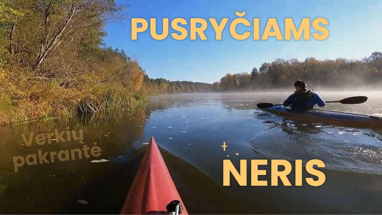 Neris ir Linas pusryčiams laikas iki darbo.