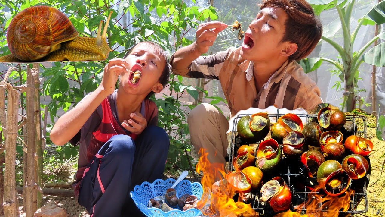 ខ្យងអាំង ខ្យងដុតស្រុកស្រែ ឆ្ងាញ់ឆុយយក្សហេីយ Grilled snails recipe cooking snails alive