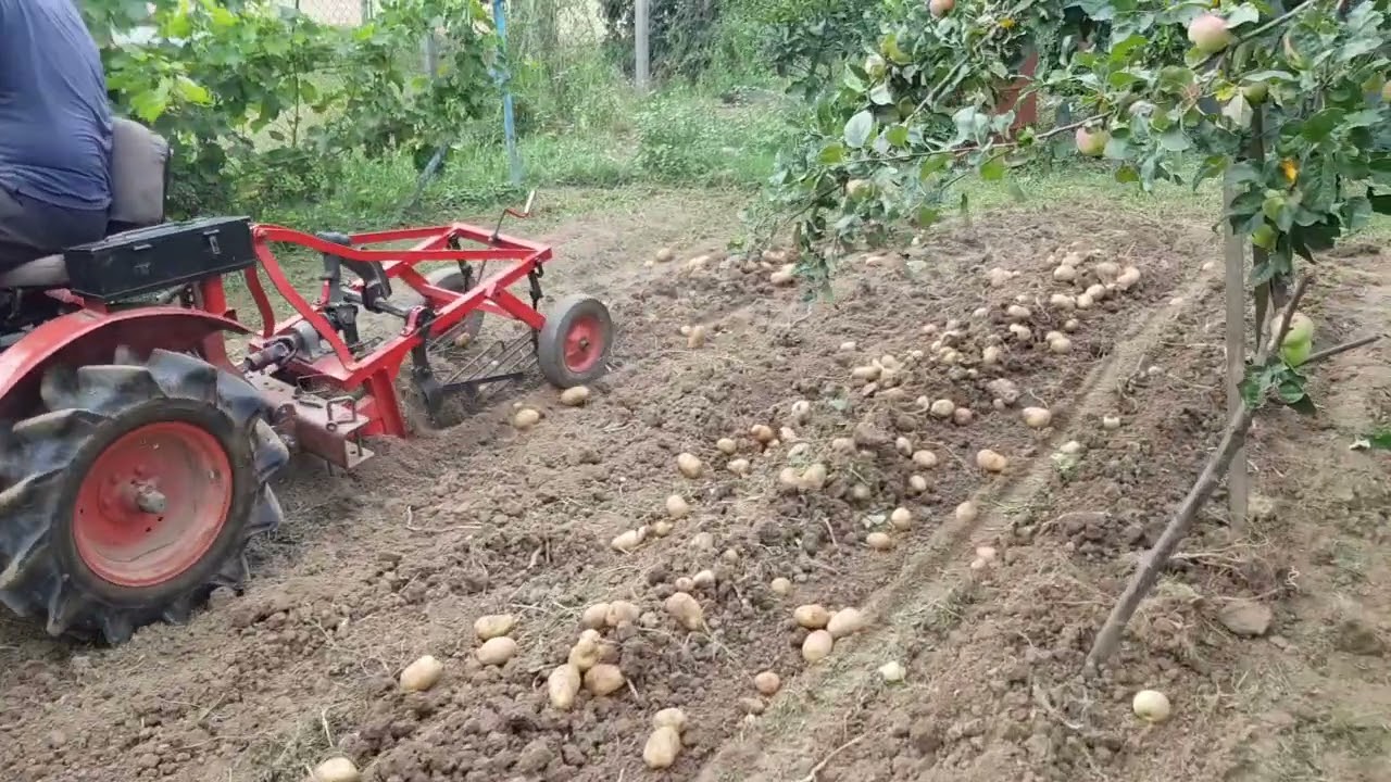 21. júla 2024
