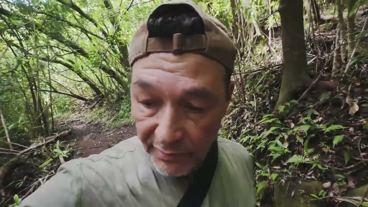 Exploring Oahu’s Rainforest: Manoa Falls to Pauoa Flats Trail