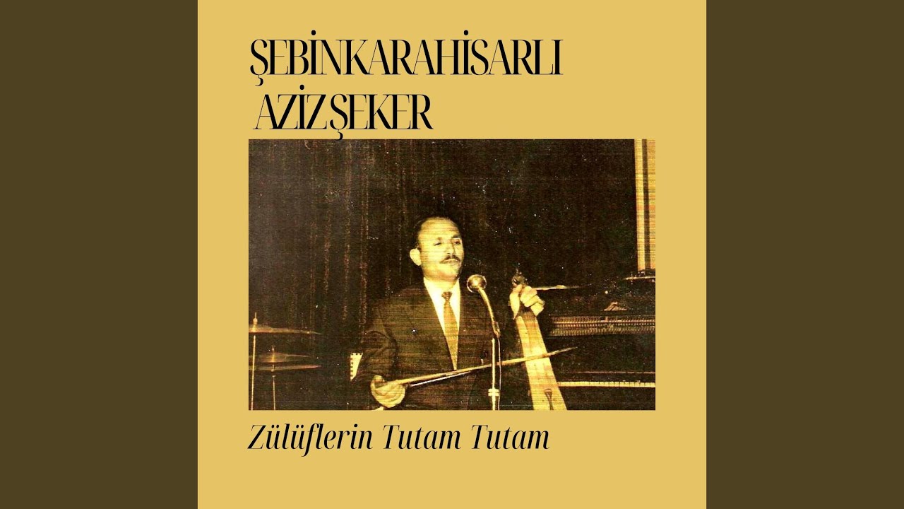 Zülüflerin Tutam Tutam